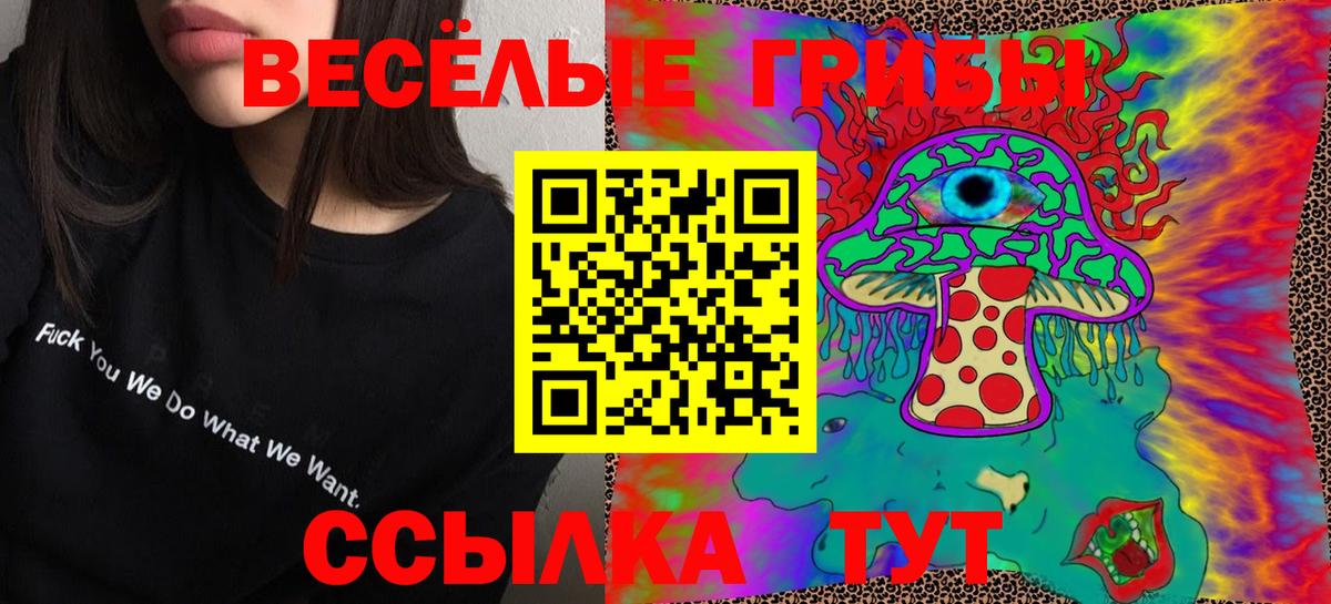 Аксай  Псилоцибиновые грибы мицелий  Вход с VPN 